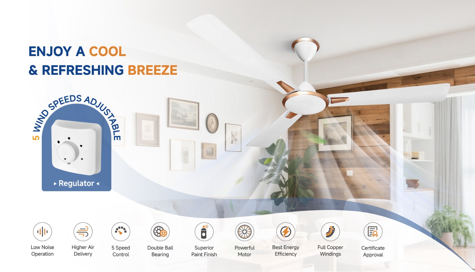 QJFC1032独立站详情图_画板 1 副本 2.jpg